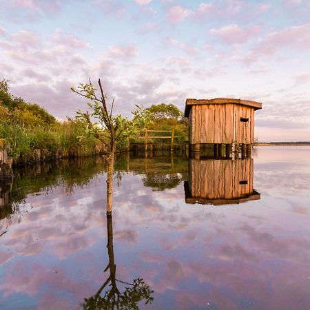 Ferienwohnung Hohner Seeblick Hohn  Bagian luar foto